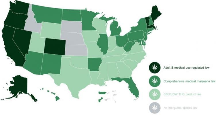 Marijuana Laws in the USA