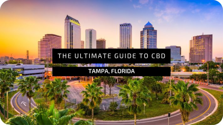 The-ultimate-guide-to-CBD-in-Tampa-florida