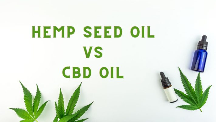 hemp-seed-oil-vs-cbd-oil-balance-cbd